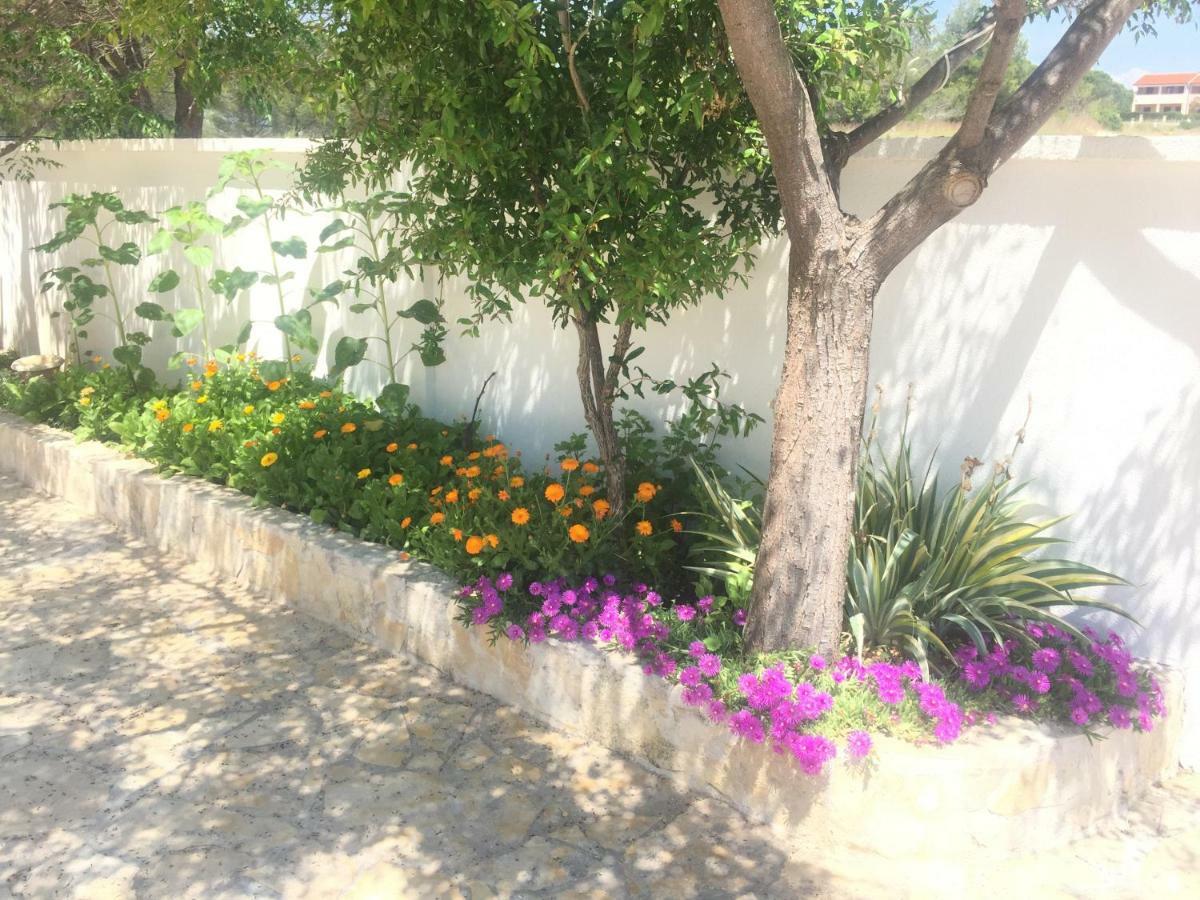 Marija Apartment Nin Exterior photo